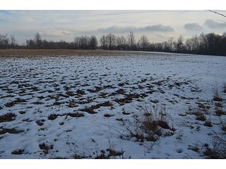 Property photo 28 - FARMLAND AUCTION, 60+/- Acres in 6 Tracts ranging from 4 to 20 acres & in combinations!